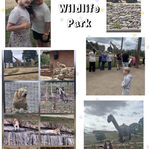 Yorkshire Wildlife Park day Trip