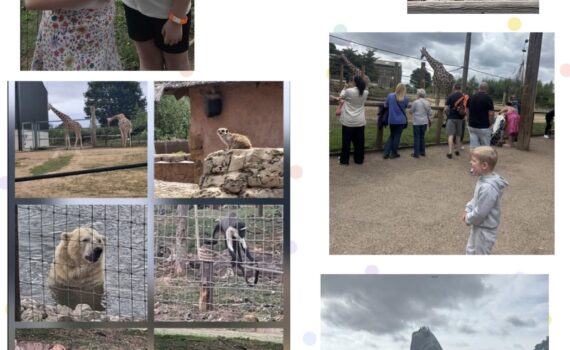 Yorkshire Wildlife Park day Trip
